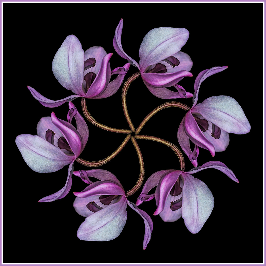 Creative Artistry In Class S By Hazel Meredith For Purple Mandala NOV-2020.jpg